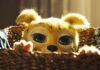 Crítica – Marsupilami: Confusão a Bordo é uma montanha-russa que abraça o absurdo e surpreende