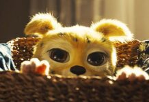 Crítica – Marsupilami: Confusão a Bordo é uma montanha-russa que abraça o absurdo e surpreende