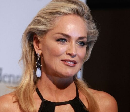 Instinto Selvagem vai trazer Catherine Tramell de volta? Entenda o retorno da personagem que redefiniu o suspense nos anos 1990