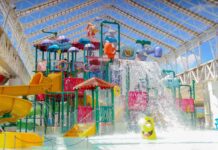 Wet’n Wild e Roda Rico criam combo de férias que reúne parque aquático e passeio na maior roda-gigante da América Latina