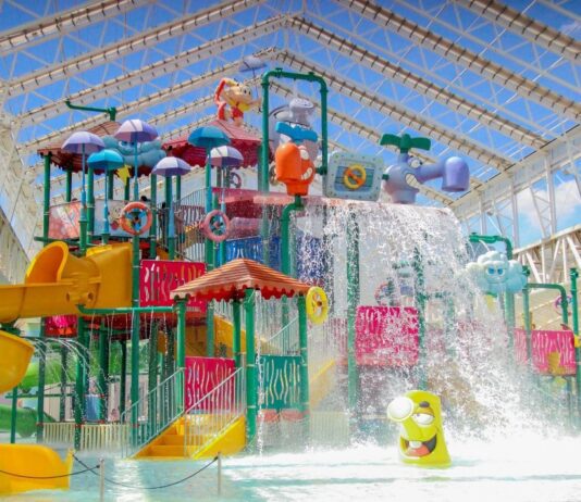 Wet’n Wild e Roda Rico criam combo de férias que reúne parque aquático e passeio na maior roda-gigante da América Latina